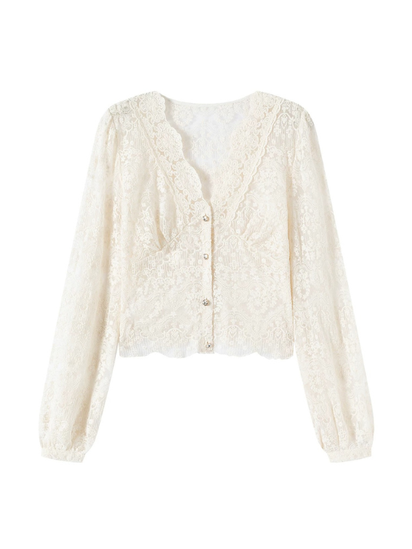 Sheer Lace V-Neck Blouse