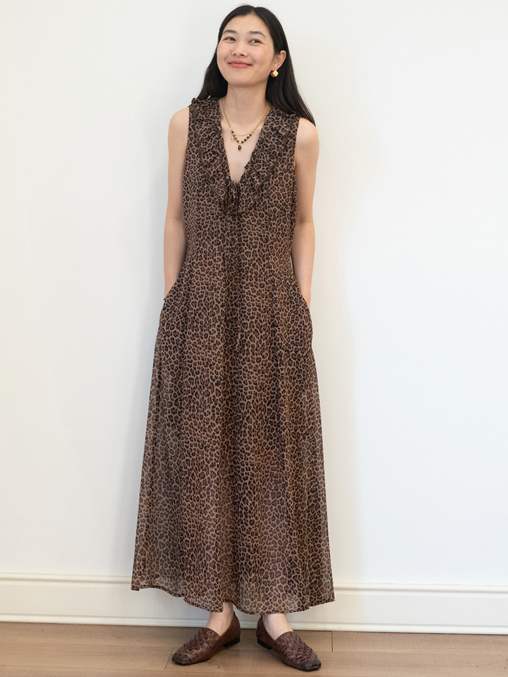 Sheer Ruffle Maxi Dress