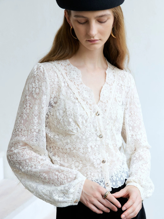 Sheer Lace V-Neck Blouse