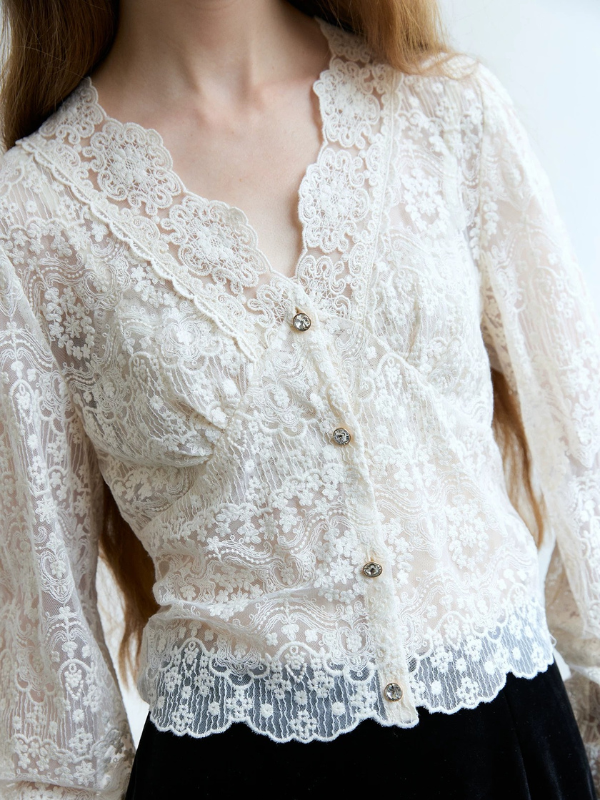 Sheer Lace V-Neck Blouse