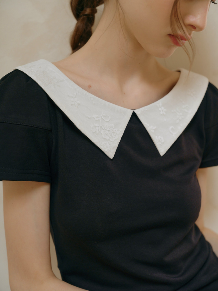 Embroidered Collar Top