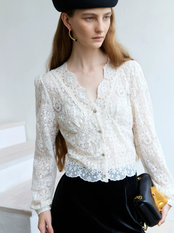 Sheer Lace V-Neck Blouse