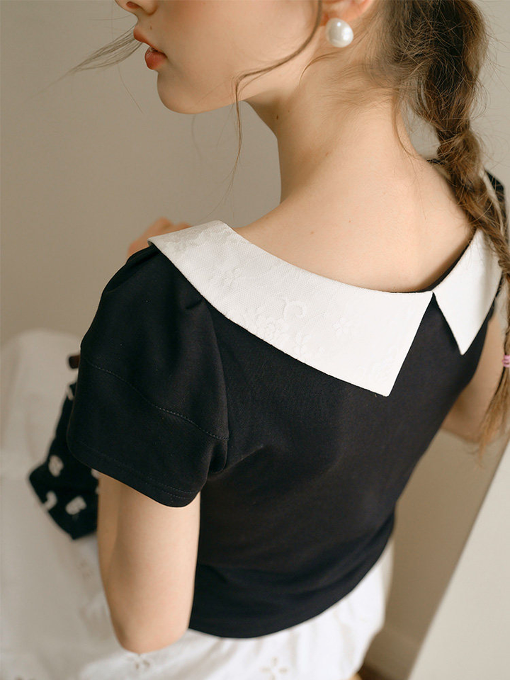 Embroidered Collar Top