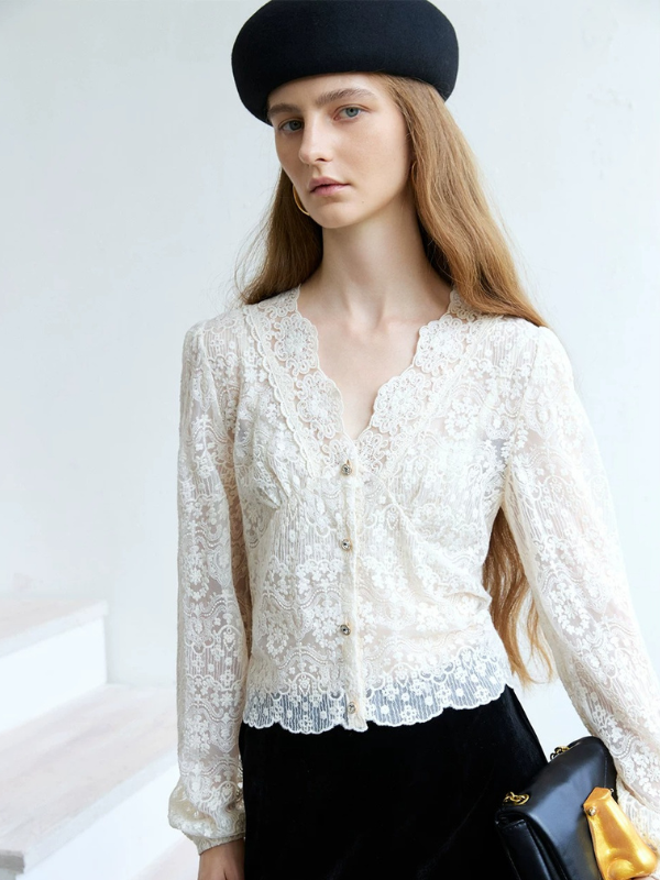 Sheer Lace V-Neck Blouse