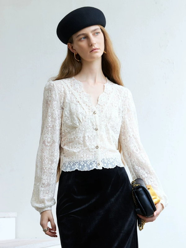 Sheer Lace V-Neck Blouse