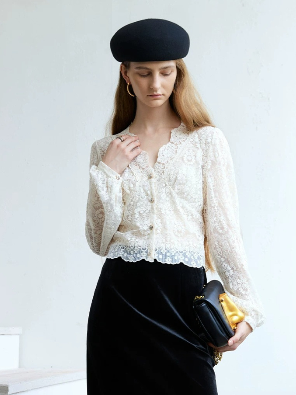 Sheer Lace V-Neck Blouse