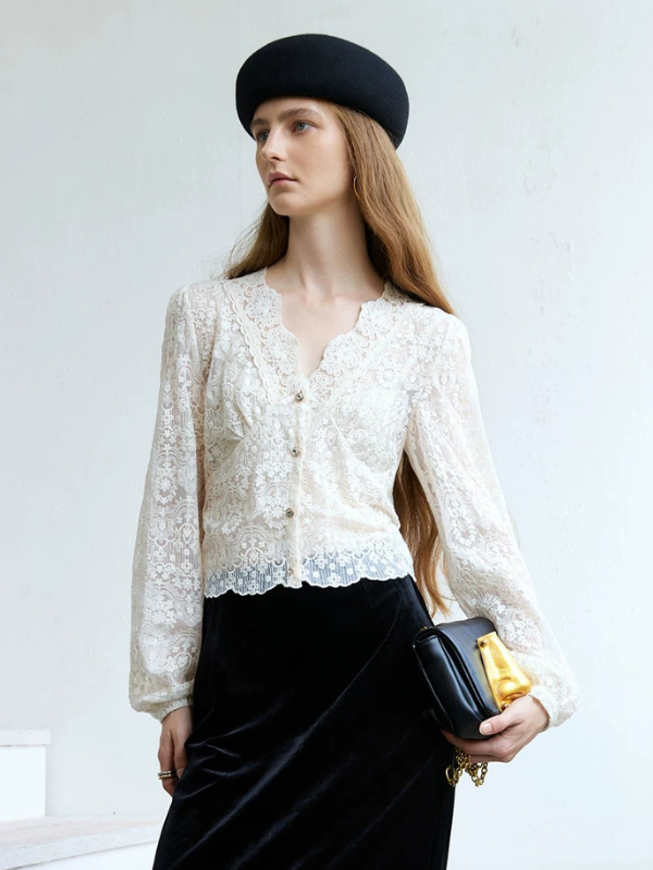 Sheer Lace V-Neck Blouse