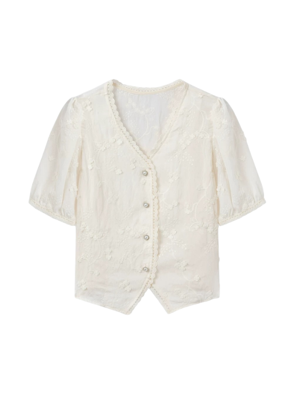 Embroidered Soft V-Neck Blouse